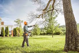 Best Lawn Mowing  in Plainfield, NJ